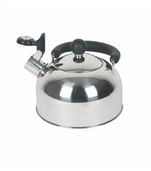 Bo-Camp Fluitketel Trend 1 RVS
