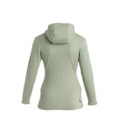 Icebreaker W Mer 260 Quantum IV LS Zip Ho