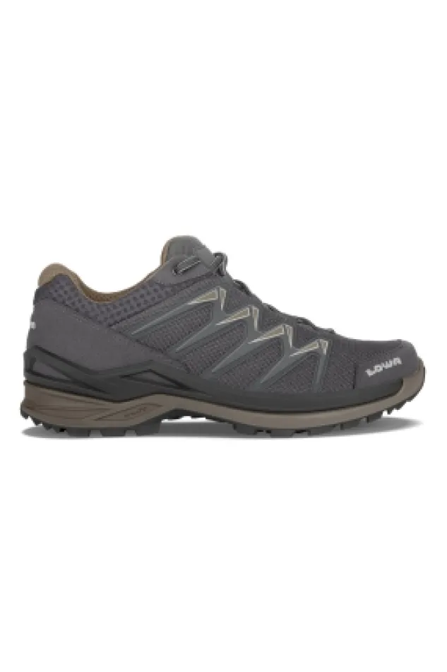 Lowa Renegade GTX Mid W wandelschoen