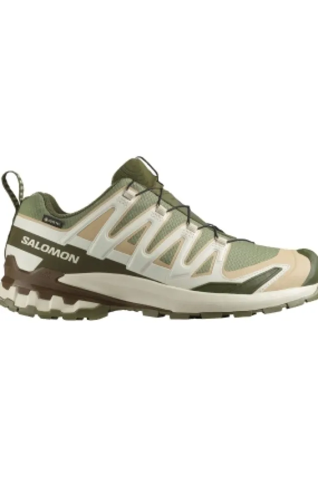 Salomon X Ultra 360 GTX W