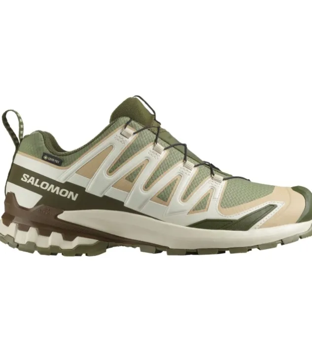 Salomon XA Pro 3D V9 GTX