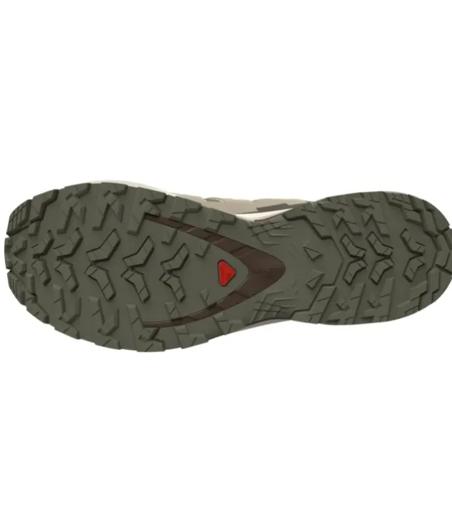 Salomon XA Pro 3D V9 GTX