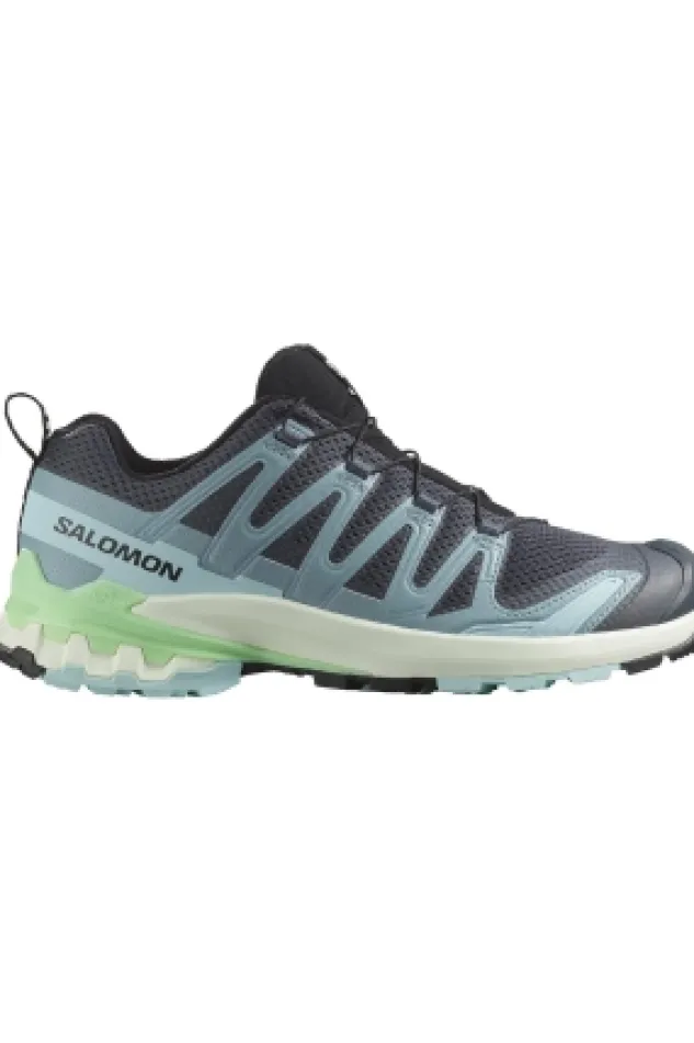 Salomon XA Pro 3D V9 GTX