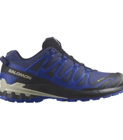 Salomon XA Pro 3D V9 GTX