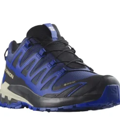 Salomon XA Pro 3D V9 GTX