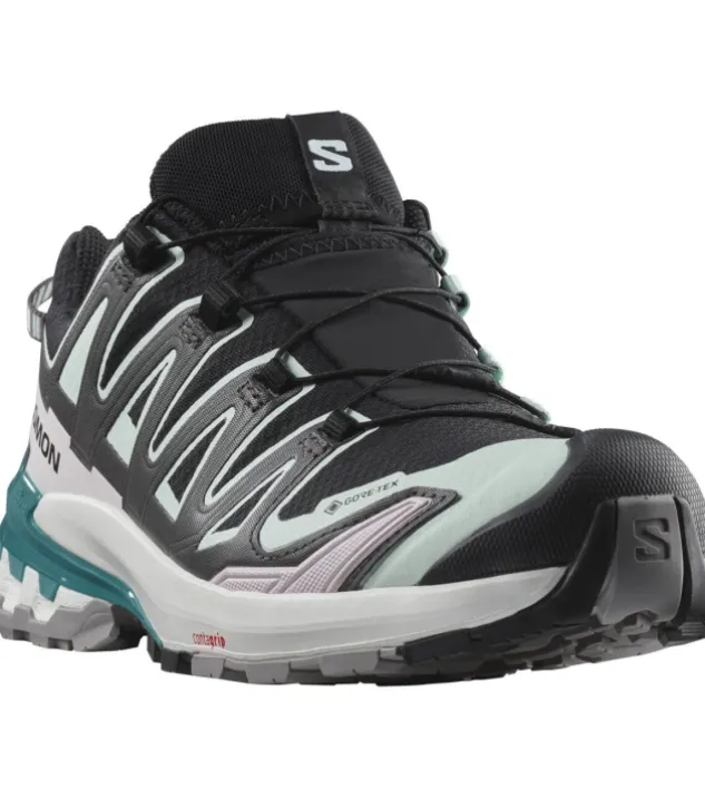 Salomon XA Pro 3D V9 GTX W
