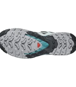 Salomon XA Pro 3D V9 GTX W