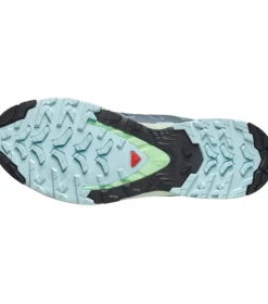 Salomon XA Pro 3D V9 W